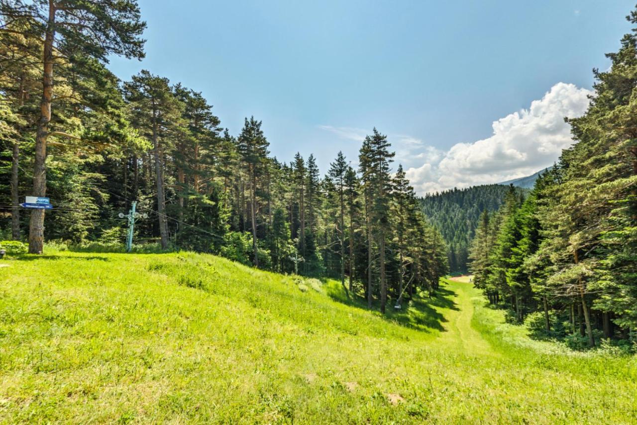 Хотел Магнолия, Hotel Magnoliya Panichishte Eksteriør billede